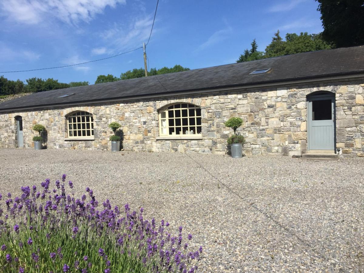 Clonalis House - Guesthouse Castlerea المظهر الخارجي الصورة