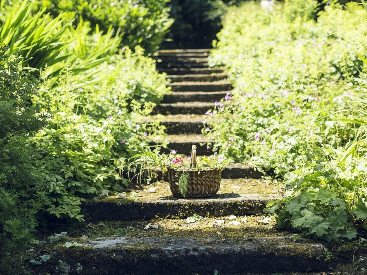 Clonalis House - Guesthouse Castlerea المظهر الخارجي الصورة