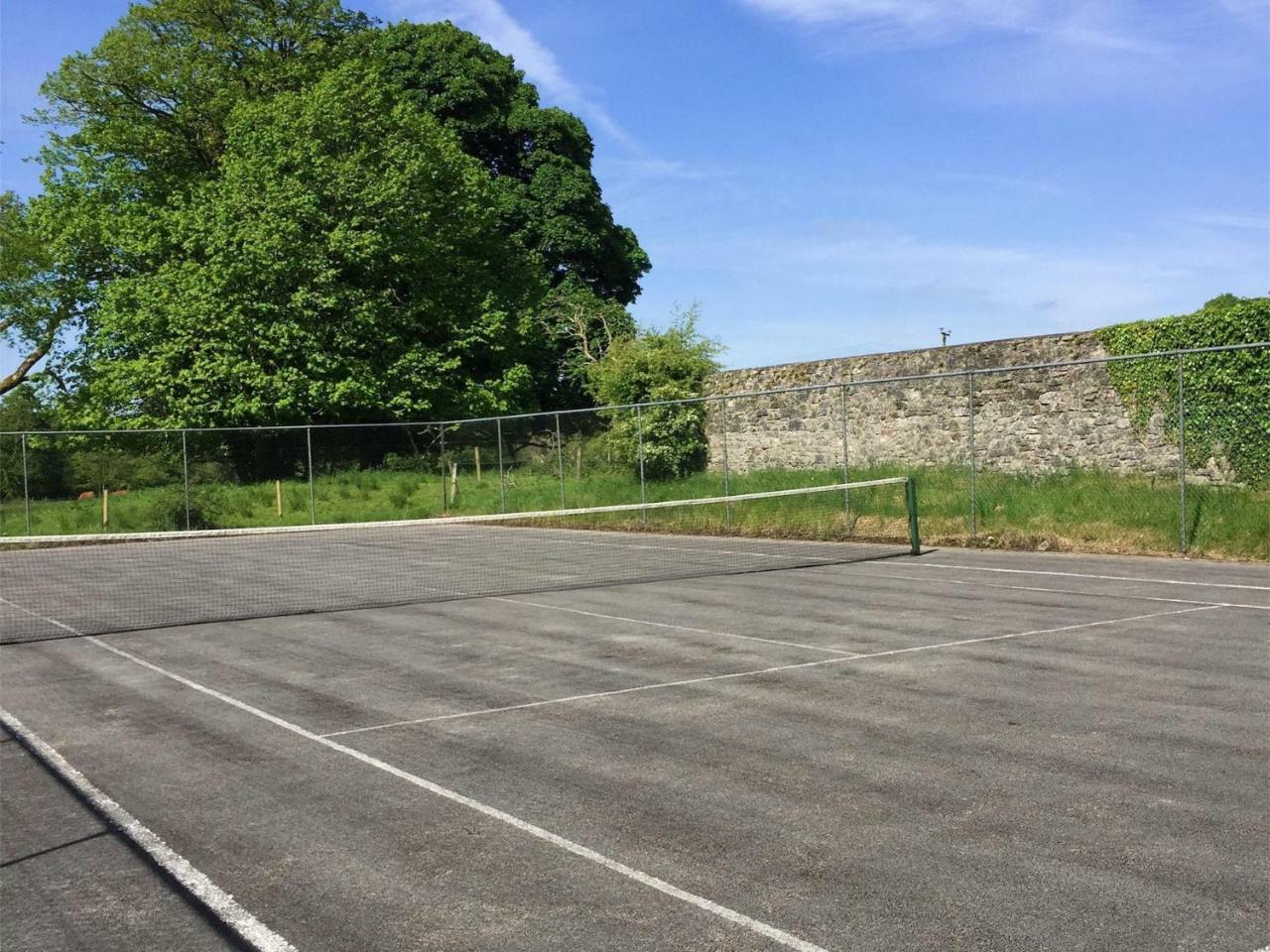 Clonalis House - Guesthouse Castlerea المظهر الخارجي الصورة